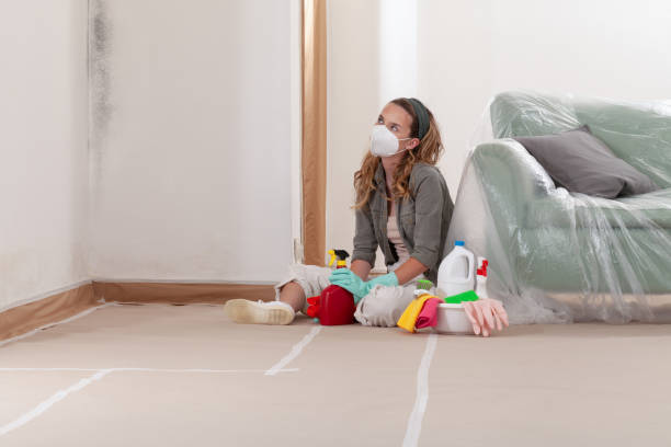 Reliable Mold Cleanup contractor in Round Hill, VA by Cheap Mold Removal